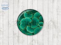 Motiv-Cabochons 1000-4 Einzelset  10mm (10 Stück)