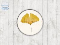 Motiv-Cabochons 1000-5 Einzelset  