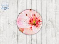 Motiv-Cabochons 1041-1 Einzelset  