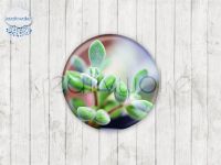 Motiv-Cabochons 1163-4 Einzelset  