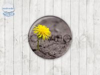 Motiv-Cabochons 1165-5 Einzelset  25mm (1 Stück)