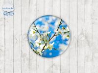 Motiv-Cabochons 1170-2 Einzelset  