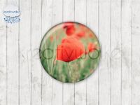 Motiv-Cabochons 1188-5 Einzelset  12mm (10 Stück)