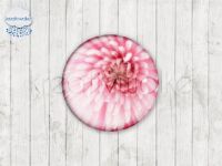 Motiv-Cabochons 1246-6 Einzelset  