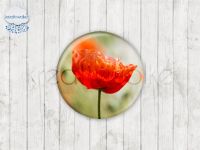 Motiv-Cabochons 1520-3 Einzelset  20mm (1 Stück)