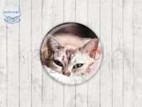 Motiv-Cabochons 1552-2 Einzelset  20mm (1 Stück)