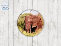 Motiv-Cabochons 1553-5 Einzelset  