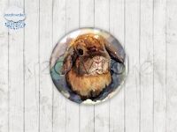 Motiv-Cabochons 1627-4 Einzelset  25mm (5 Stück)