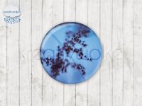 Motiv-Cabochons 1654-6 Einzelset  