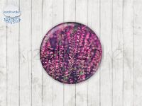 Motiv-Cabochons 1756-1 Einzelset  12mm (10 Stück)