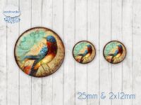 Motiv-Cabochon Set 220 