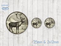 Motiv-Cabochon Set 098 