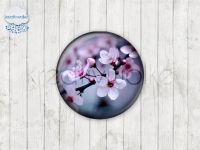 Motiv-Cabochons 048-1 Einzelset  