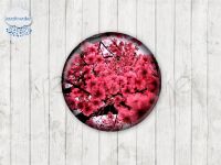 Motiv-Cabochons 048-3 Einzelset  