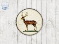 Motiv-Cabochons 107-1 Einzelset  12mm (1 Paar)