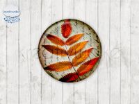 Motiv-Cabochons 116-1 Einzelset  