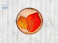 Motiv-Cabochons 116-4 Einzelset  