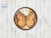 Motiv-Cabochons 178-2 Einzelset  