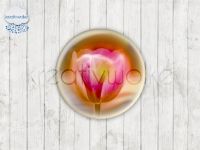 Motiv-Cabochons 192-2 Einzelset  