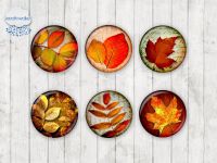 Motiv-Cabochons 116 25mm (6 Stk)