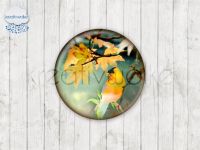 Motiv-Cabochons 215-1 Einzelset  