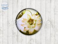 Motiv-Cabochons 219-2 Einzelset  