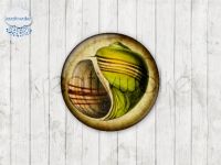 Motiv-Cabochons 240-2 Einzelset  