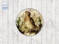 Motiv-Cabochons 247-6 Einzelset  