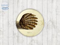 Motiv-Cabochons 248-2 Einzelset  