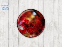 Motiv-Cabochons 279-4 Einzelset  