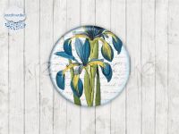 Motiv-Cabochons 291-2 Einzelset  14mm (1 Paar)