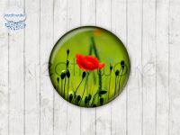 Motiv-Cabochons 299-1 Einzelset  