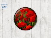 Motiv-Cabochons 299-3 Einzelset  