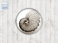 Motiv-Cabochons 0320-2 Einzelset  