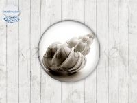 Motiv-Cabochons 0320-6 Einzelset  