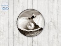 Motiv-Cabochons 321-5 Einzelset  14mm (1 Paar)