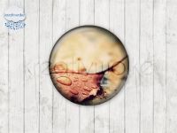 Motiv-Cabochons 334-6 Einzelset  