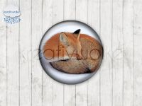 Motiv-Cabochons 336-1 Einzelset  