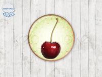 Motiv-Cabochons 389-6 Einzelset  