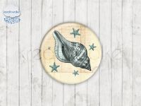 Motiv-Cabochons 447-1 Einzelset  