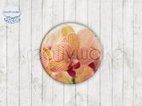 Motiv-Cabochons 460-3 Einzelset  