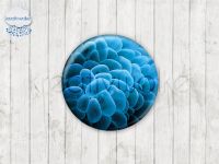 Motiv-Cabochons 494-5 Einzelset  