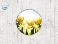 Motiv-Cabochons 521-1 Einzelset  