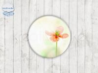 Motiv-Cabochons 523-1 Einzelset  25mm (1 Stück)