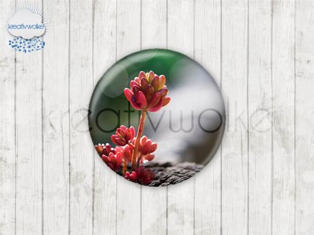 Motiv-Cabochons 1163-6 Einzelset  