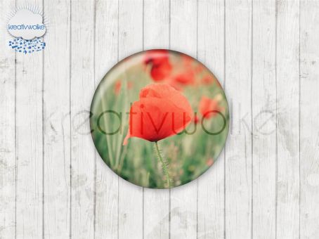 Motiv-Cabochons 1188-5 Einzelset  12mm (10 Stück)