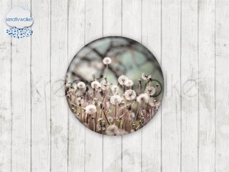 Motiv-Cabochons 1479-1 Einzelset  25mm (5 Stück)