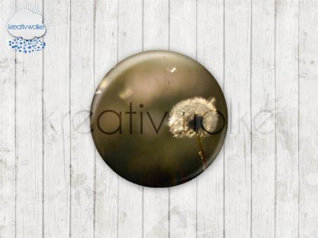 Motiv-Cabochons 1479-2 Einzelset  