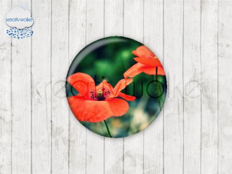 Motiv-Cabochons 1520-1 Einzelset  