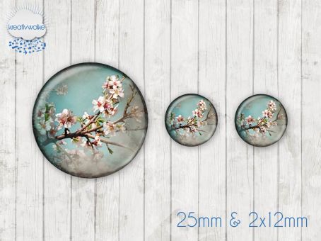 Motiv-Cabochon Set 222 